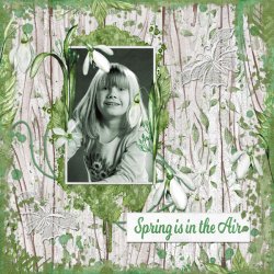Spring-is-in-the-air!.jpg