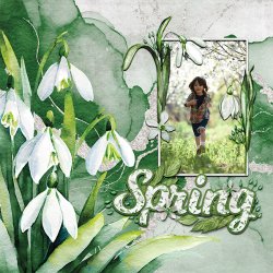 Signs oSpring artsy.jpg