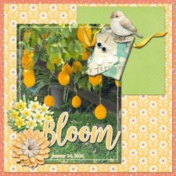 Bloom 8x8 72.jpg