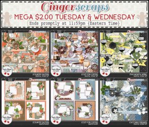 TMS_3.24_$2TUES_MEGA_GS.jpg
