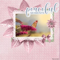 March 2026 Daily Download -Peachful  moments.jpg