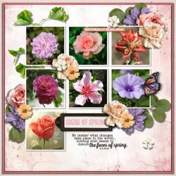 DLPatt_SignsOfSpring_web.jpg