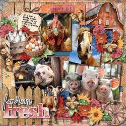 DLPatt_FarmFreshCountryLife_web.jpg