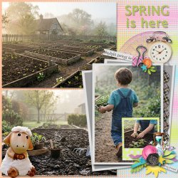 SpringIsHere_ollitko_600.jpg