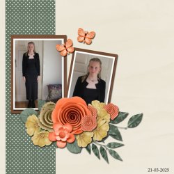 SCR-SBlooms-01.jpg