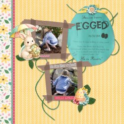 Egged.jpg