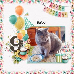 Picture perfect birthday de Jumpstart.jpg