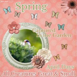 April 2026-Wild About Styles-Captured....jpg