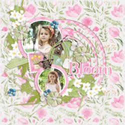 bloom-raindrops-blooms-layout-spring-child-floral-yellow-green-blue-pink-white.jpg