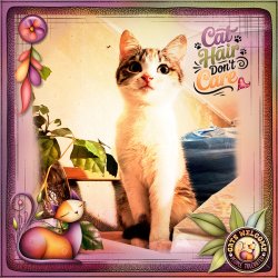 CatsHair_ollitko_600.jpg