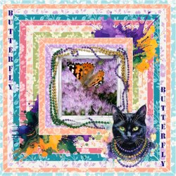 Wild About Styles-May 2026-Butterfly.jpg