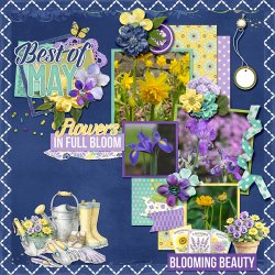 cap_2026May_MayFlowers_web.jpg