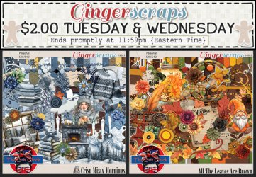 05-19&05-20 $2TW.jpg