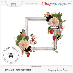 BZ_sweetlife_newsletter_freebie_preview.png