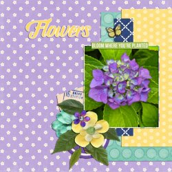 flowers.jpg