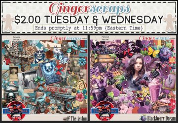 05-26&05-27 $2TW.jpg