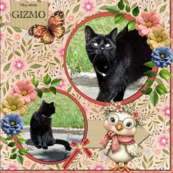 2026-May-Template Challenge #1 - GIZMO.jpg