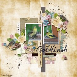 JBS-Storylines1-tp3-june-daydreams-kit-renee-600.jpg