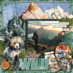 DLPatt_StayWild_web.jpg