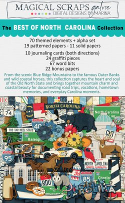 BoNC-NEWSLETTER-SHOWCASE-1-B.jpg