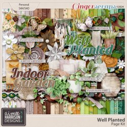 aimeeh-WellPlanted-kit.jpg