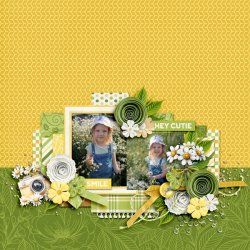 19-6-26-TMS-Hello Daisy-DianaS.jpg