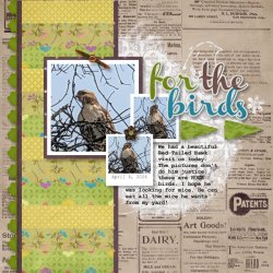 For the Birds - April 2026.jpg For the Birds - April 2026.jpg