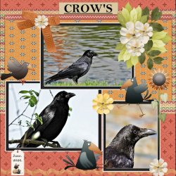 June 2026 Template Challenge #1-CROW'S.jpg