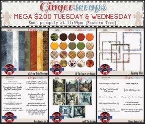 06-23&06-24 $2TW Mega.jpg