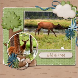 Wild-&-Free.jpg