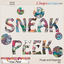 sneakpeekpurgeandorganize600.jpg sneakpeekpurgeandorganize600.jpg