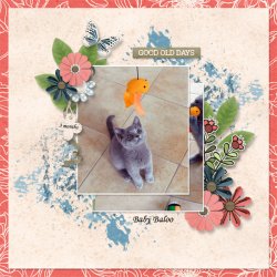 Collection of memories de lisa Rosa designs.jpg Collection of memories de lisa Rosa designs.jpg