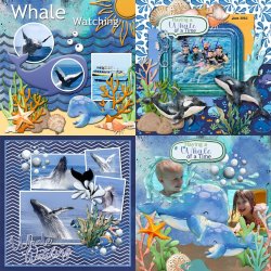 SCR-Whaleht-los.jpg