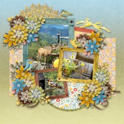 Morning Melodies 600.jpg Morning Melodies 600.jpg