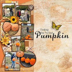 Picking-a-Pumpkin.jpg Picking-a-Pumpkin.jpg