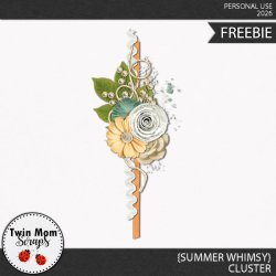 TWINMOMSCRAPS_SUMMER_WHIMSY_CLUSTER_FB.jpg