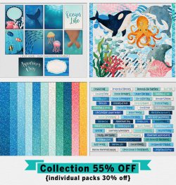 NEWSLETTER-SHOWCASE-2-OW.jpg