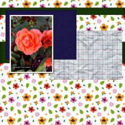 GS_backtoClassrom-collab-slowscrap-072026--2.jpg