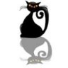 blackkitty