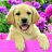 mypal