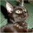 oreosmeow