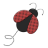 krodney