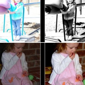 Digital Designs by Lisa