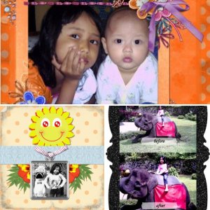 anywdk