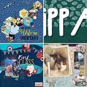 pippa_h