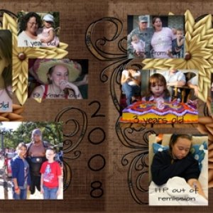 2008 Year in review