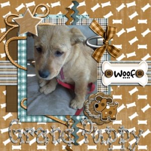 Grandpuppy