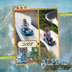 alpine slide