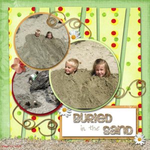 Buried in the Sand