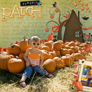 Pumpkin Patch